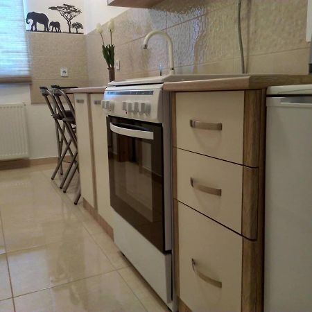 Studio Apartman Zdral Дарувар Екстериор снимка