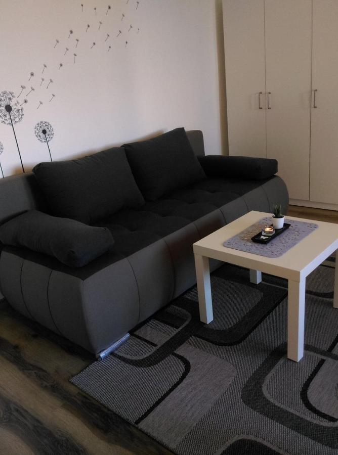 Studio Apartman Zdral Дарувар Екстериор снимка
