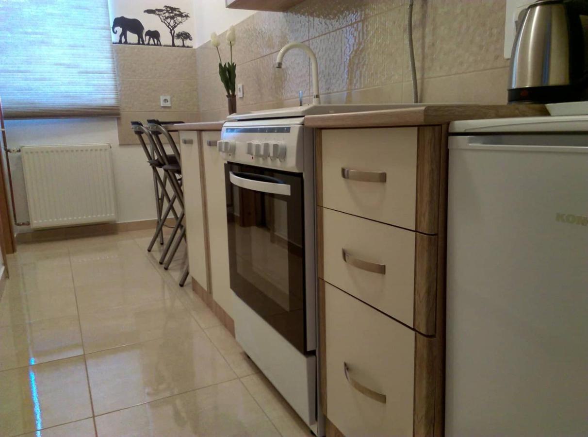 Studio Apartman Zdral Дарувар Екстериор снимка