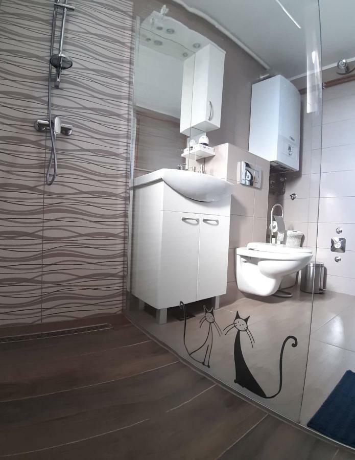 Studio Apartman Zdral Дарувар Екстериор снимка