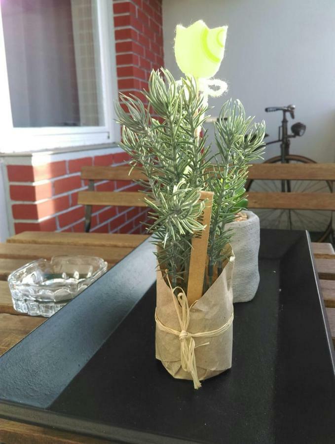 Studio Apartman Zdral Дарувар Екстериор снимка